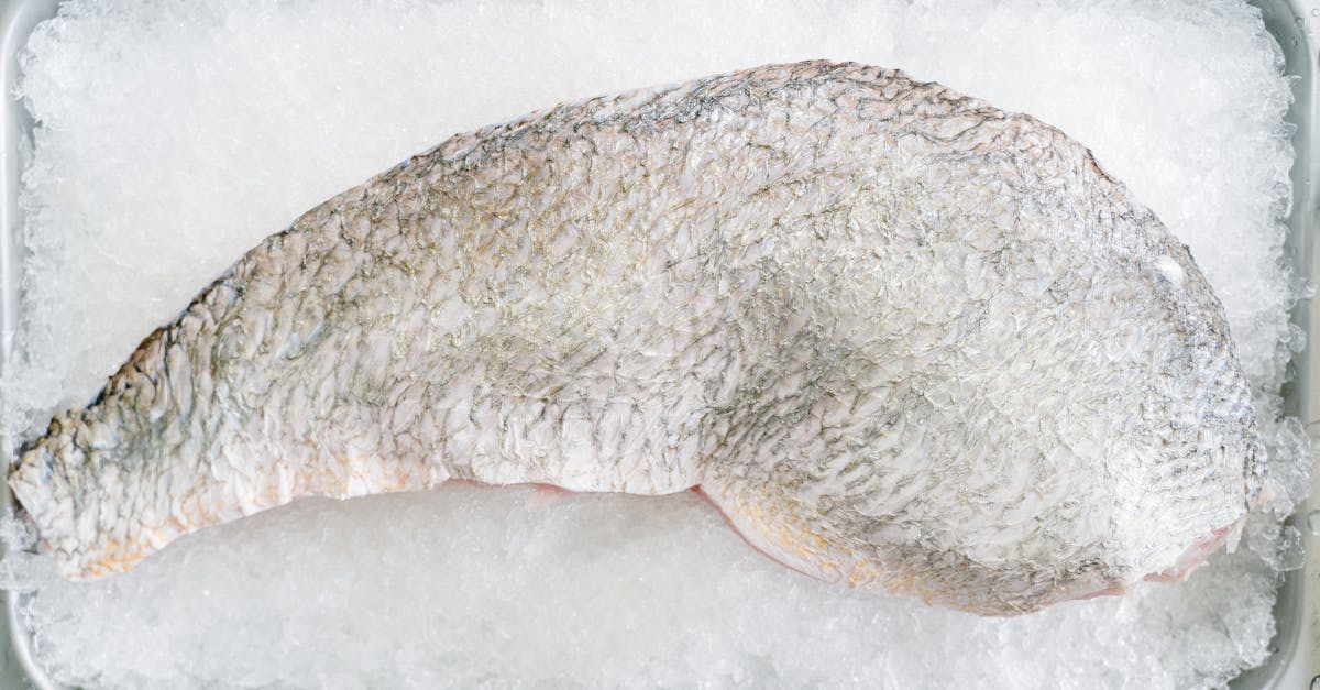 10 Benefits of Choosing Frozen Fish Delivery