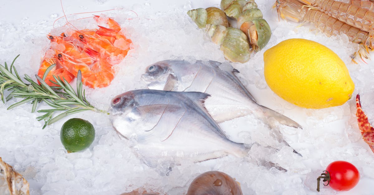 10 Popular Oily Fish Varieties to Try