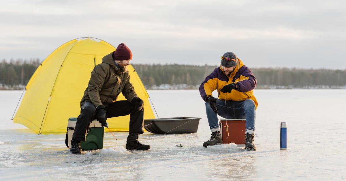 10 Tips for Efficient Online Ordering of Frozen Fish