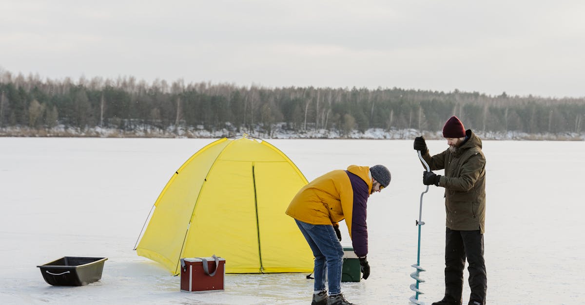 A Historical Overview of Frozen Fish Delivery Services