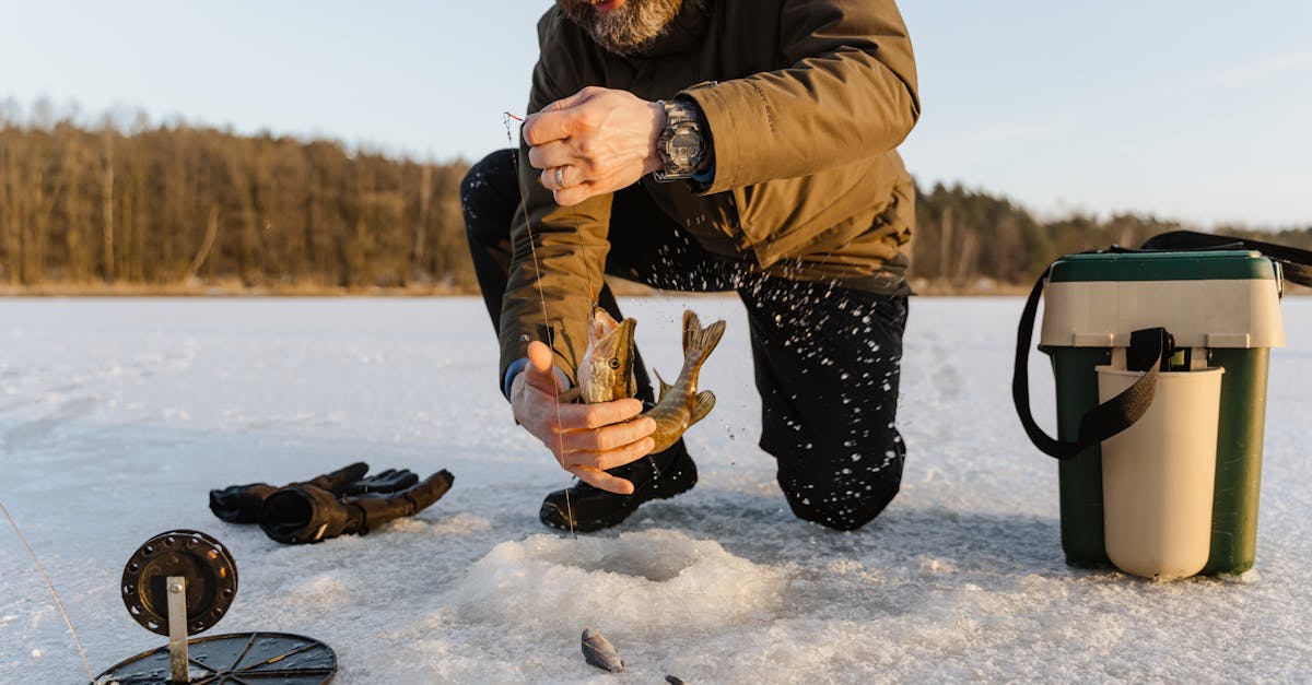 How to properly store oily fish in the freezer