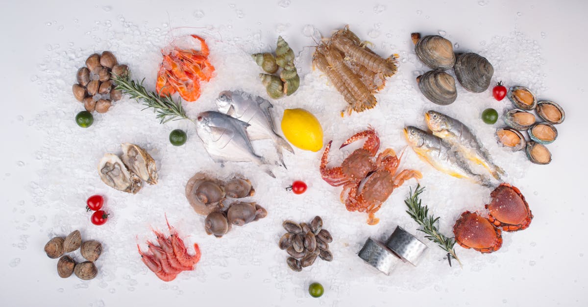 What to Expect from Payment Methods for Frozen Fish Delivery