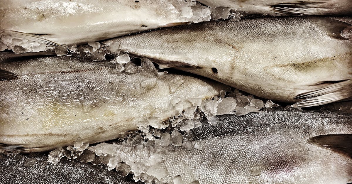 Why Frozen Fish is a Sustainable Choice