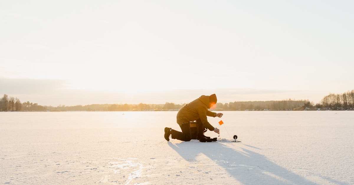 Why is Frozen Fish a Healthy Choice for Your Diet