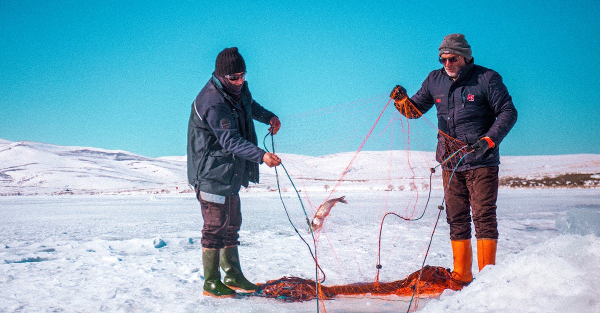 Why Online Ordering Platforms Are Transforming the Frozen Fish Market