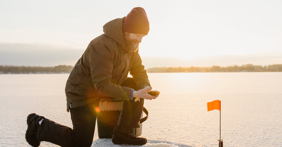 Why Packaging Matters for Frozen Fish Deliveries